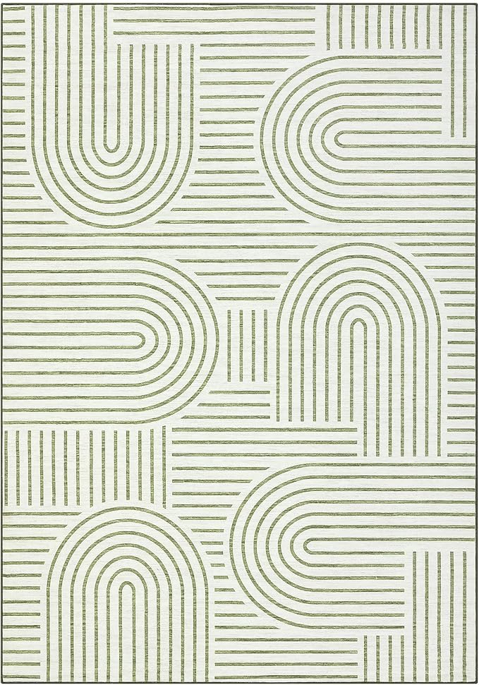ROYHOME Washable Rug 4x6 Area Rugs