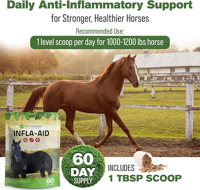 Silver Lining Herbs Infla-Aid for Horses – Natural Anti Inflammatory Supplement for Inflammation Relief – Supports Recovery, Comfort, and Mobility in Muscles, Tendons & Joints – 1 lb Bag (60 Servings)