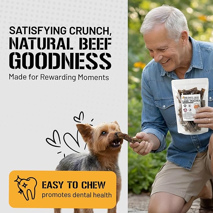 Dog Chits Lamb Trachea Dog Chews - 100% Single Ingredient, High Protein, Low Fat - Glucosamine for Joint Support - Dental-Clean Crunch - for Dogs Sensitive to Beef, Training Treat - 6 inch, 8 oz