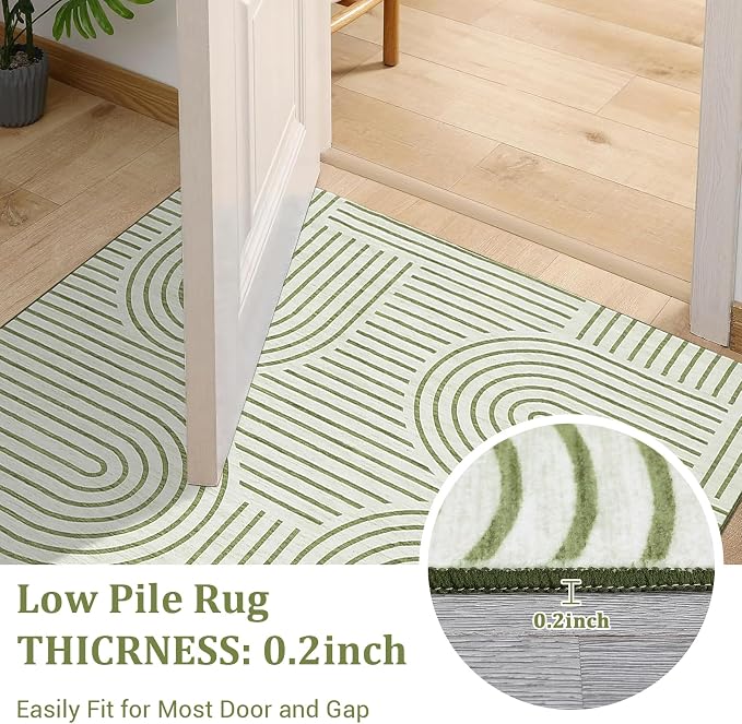 ROYHOME Washable Rug 4x6 Area Rugs