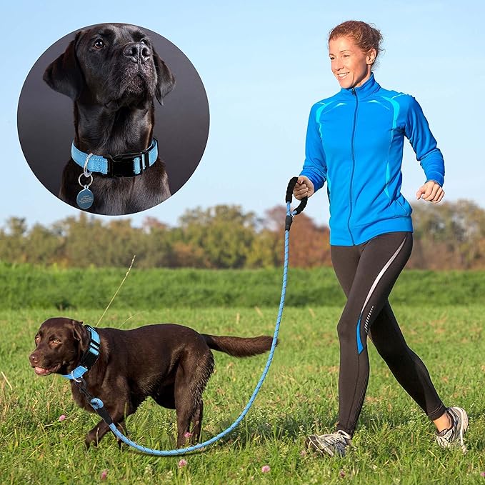 Reflective Dog Collar Padded with Soft Neoprene Breathable Adjustable Nylon Dog Collars for Small Medium Large Dogs (Medium (Pack of 1), Vivid Blue Collar+Leash)