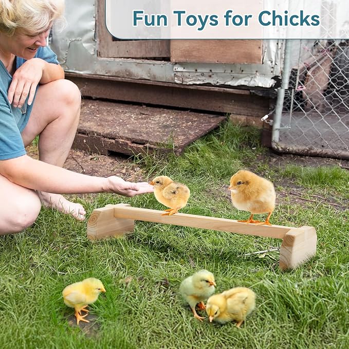 PETSFIT Chick Roosting Bar Prevent Rotation Design, Solid Wooden Thicken Rooster Perch for Coop and Brooder for Birds, Baby Chicks