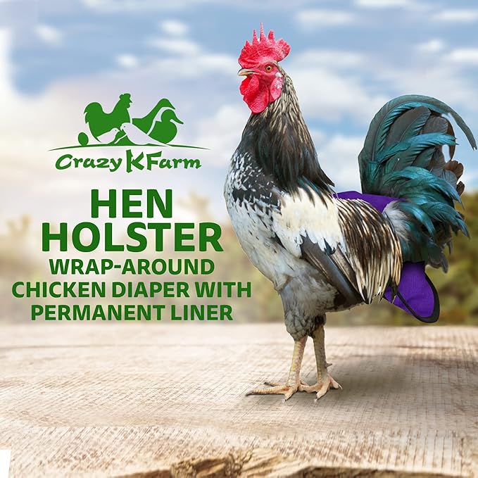 Hen Holster Bird Diaper, Wrap Around - for Hens, Roosters, Ducks, Leak-Proof Design, Comfortable Fleece Strap Bird Harness with Sewn-in Liner, Secure Hook and Loop Closure - Large, Purple