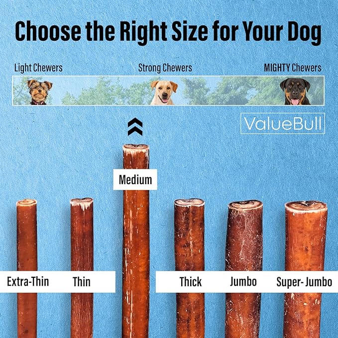 ValueBull Bully Sticks for Dogs, Medium 12 Inch, 50 Count - All Natural, Grass Fed, Single Ingredient, Long Lasting Dog Treats