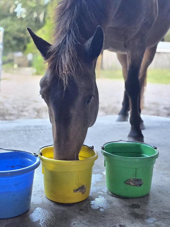Low Calorie Hydration, Feed Topper & Treat | Safe, NO Electrolyte/Salt for Daily Intake | No Sugar Added | Hydration Support for Horses, Livestock & Dogs | 8 Servings | Golden Gulp