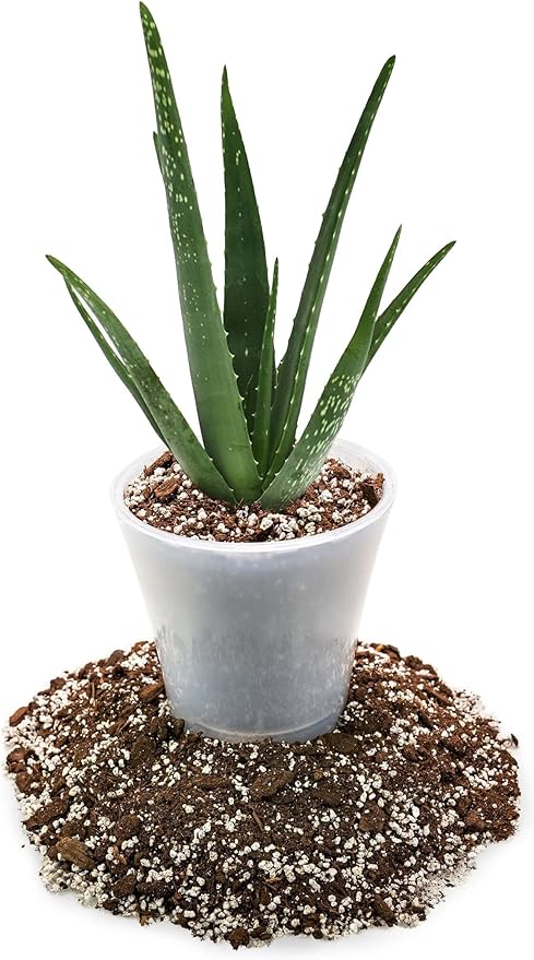GARDENERA Premium Aloe Vera Potting Soil Mix - (2 Quart Bag)