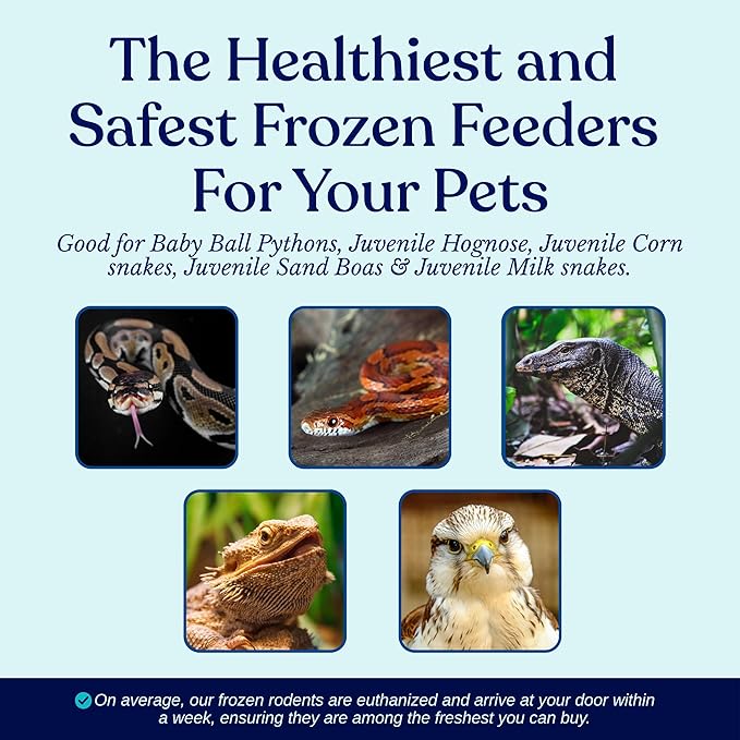 MiceDirect Frozen Pinkie Rat Food for Corn, Rat, King Snakes & Other repitles. (50 Count)
