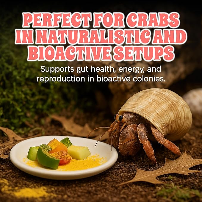 Bee Pollen Powder for Hermit Crabs – Natural Food Supplement for Molting & Recovery – Auto Feeder Safe Powder Food Topper – No Filler Crab Nutrition Booster – 2.5 oz