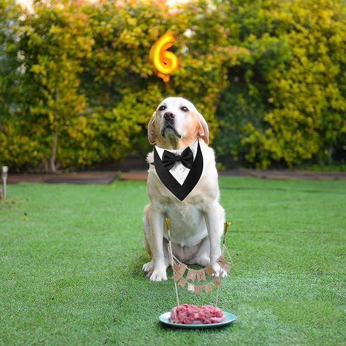 ADOGGYGO Formal Dog Tuxedo, Wedding Dog Bandana Collar with Bowtie, Adjustable Pet Birthday Wedding Tux Outfit for Medium Dogs (M, Black)