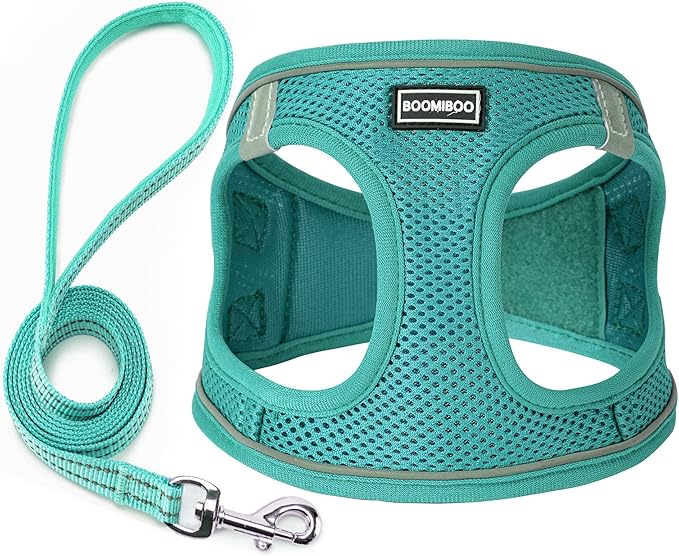 Dog Harness with Leash Set, No Pull Adjustable Reflective Step-in Puppy Pet Vest Harnesses for Small Medium Large Dogs and Cats,Forest Green L