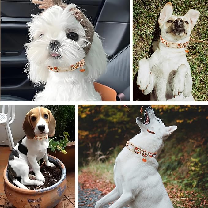 Fall Dog Collar – Halloween & Thanksgiving Dog Collars for Small Dogs – Soft & Comfortable Autumn Puppy Collar with Quick Release Buckle, Small Dog Collars for Girl Boy Dogs-S