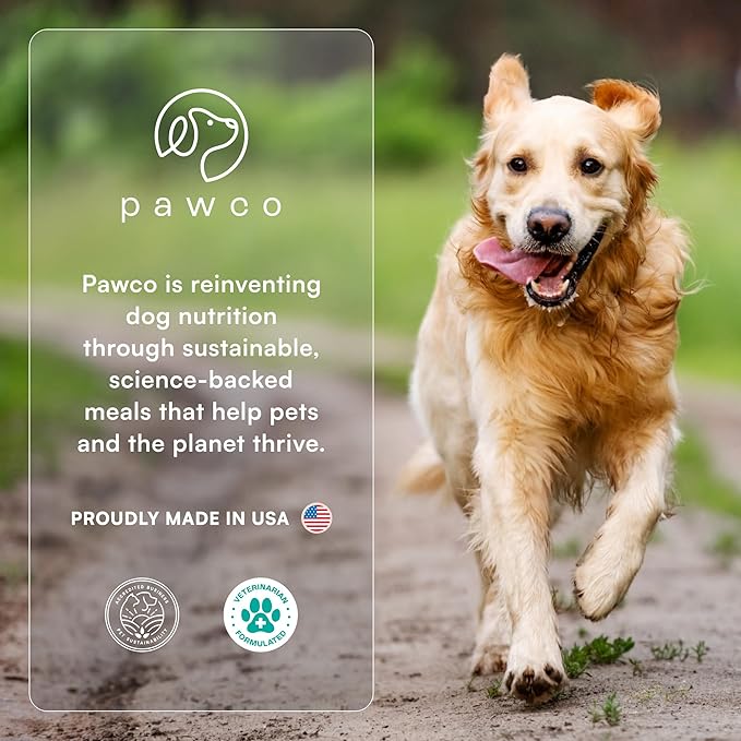 Pawco Magic Bar Gut Health Treat – High Protein Peanut Butter Dog Biscuit – 8-Pack – Healthy Snack Made with Natural Ingredients: Peanut Butter, Pumpkin, Sweet Potato, and Apples