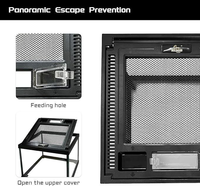 Mini Reptile Glass Terrarium Tank 8 * 8 * 6" Full View, Amphibians Box Habitat Enclosure Cage for Frog,Spiders,Dubia Cockroach,Praying Mantis,Cricket,Tarantula,Hermit Crab