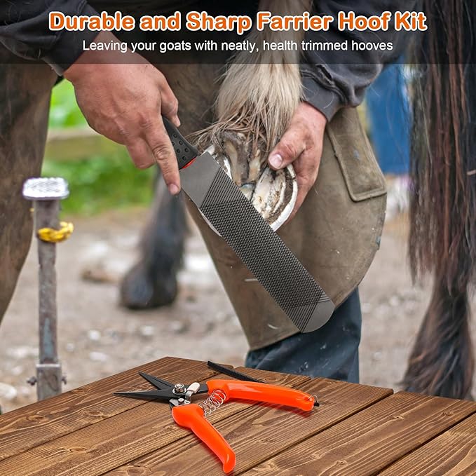 8 inch Farrier Tool Kit, Coldairsoap 3PCS Goat Hoof Trimmers with 1PCS Metal Shears, 1PCS Double-Side Long Handle Rasp, 1PCS Blue Storage Bag, Hoof Rasp File for Goat Sheep, Alpaca, Lamb, Pig