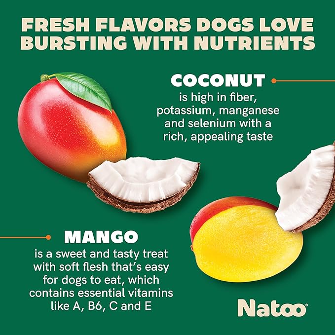 NATOO Healthy Treats for Large Dogs, Crunchy Biscuits Coconut & Mango Flavor – Natural Dog Treats, Rich in Omega 6, Prebiotics & Fiber, Antioxidants for Immunity (8 oz)