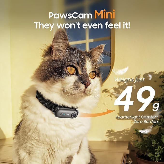 4K UHD Cat& Dog Pet Camera Collar, Video Recorder with Phone App Live View, Outdoor & Indoor POV Action Cam for Kitty and Big Cats(Black - Pink Waterproof Collar - S, 128g)