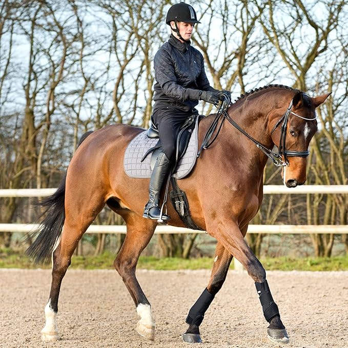 HORZE Brushing Splint Boots for Horses (Pair) - Durable Neoprene, Secure Closure, Lightweight - Black - L