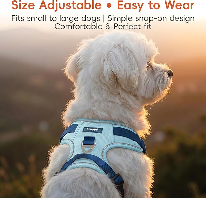 3 in 1 No Pull Dog Harness Leash and Collar Set, Soft Adjustable Dogs Vest Reflective and Comfortable Handle Blue Small