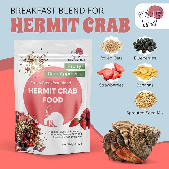 Natural Hermit Crab Food – High-Protein Hermit Food with Real Fruit and Sprouted Grains – 65 g (2.3 oz) Crab Food for Pet Hermit Crabs by Snout and Shell