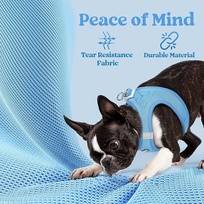 rabbitgoo Small Dog Harness, Step-in Soft Mesh Puppy Vest with Safety Buckle, Breathable Reflective Pet Harness for Small Sized Dogs, Blue XS