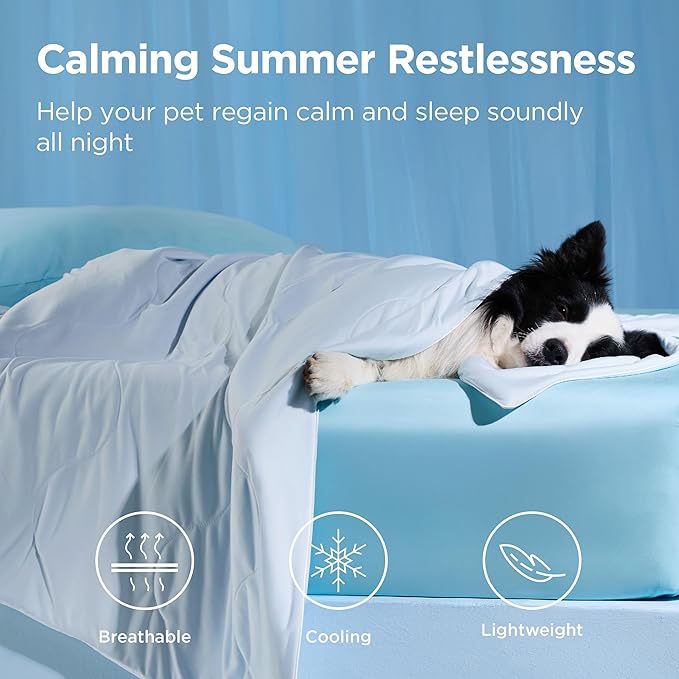 Bedsure Cooling Blanket for Bed with Breathable Air-Core Fill Q-MAX>0.4 - Lightweight Pet Cat Throw Cold Blanket Washable for Summer，Soft Dog Cooling Mat for Couch, Arctic Blue, 60x80