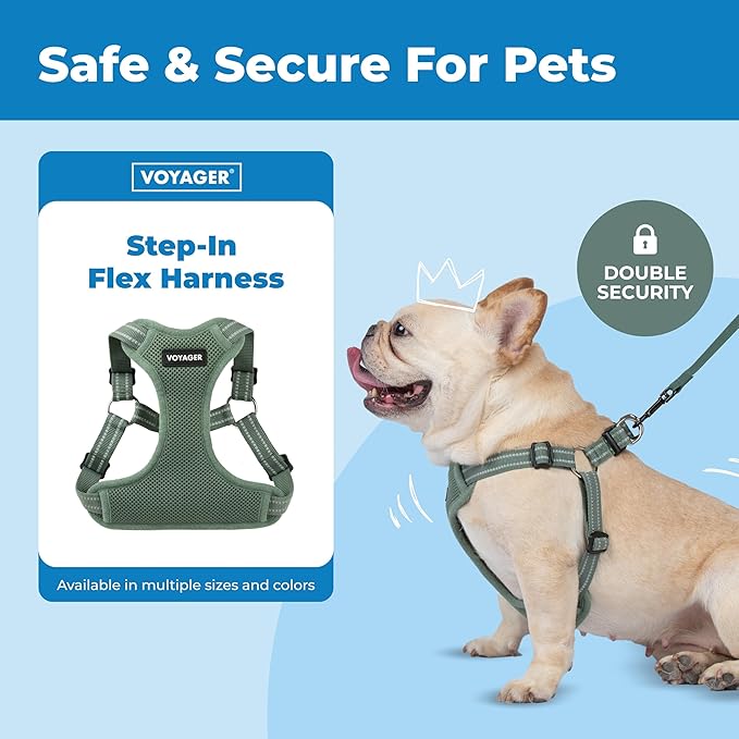 Best Pet Supplies Voyager Adjustable Step-in Flex Breathable Mesh Dog Harness for Small Medium Large Dogs Moss Green, XL