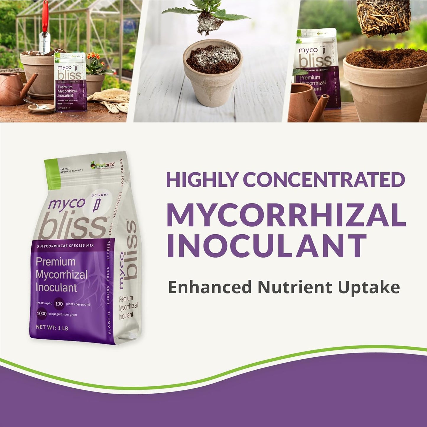 Coco Coir 650gm Bricks + Worm Castings + Mycorrhizal Inoculant + Neem Meal Fertilizer + Organic Biochar for Plants - All Natural Soil Amendments for Plants - Organic Coco Coir for Plants & Gardening
