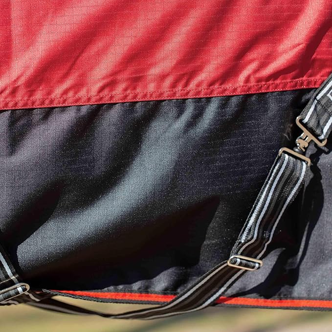 Equinavia Norse Lightweight 100g Fill Horse Rain Blanket | Waterproof Turnout Sheet - Black - 66 in - Equestrian Red - 81 in