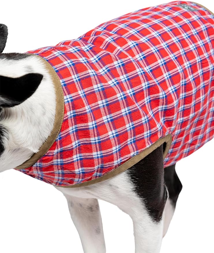 Insect Shield for Pets Trail Dog Adjustable Vest with Built-in Insect Protection