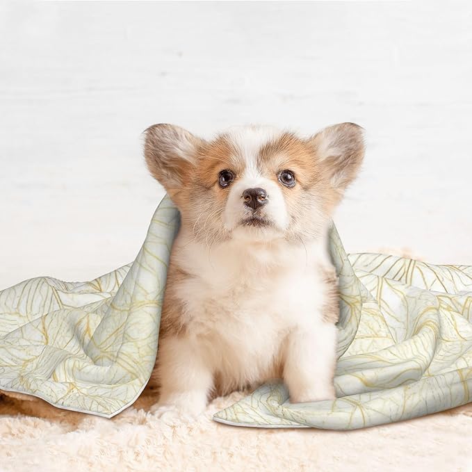 Waterproof Dog Blanket Soft Pet Blanket for Puppy Cat, Fleece Cat Throw Blankets for Furniture Bed Couch Sofa Reversible - Elegant Gold Leaf Pattern