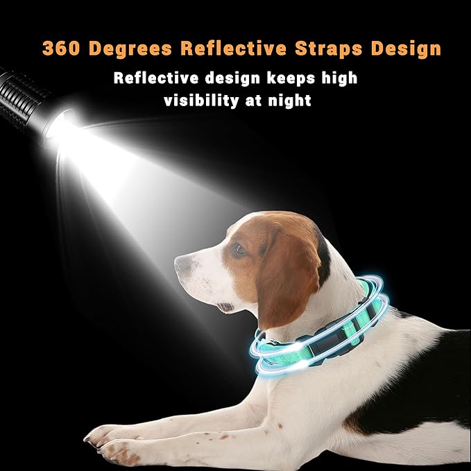 2 Pack Reflective Dog Collar with Safety Locking Buckle, Adjustable Soft Breathable Comfortable Nylon Pet Collar for Small, Medium and Large Dogs, Turquoise, XL