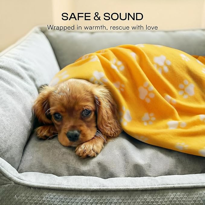 LINENLUX Cute Dog Blanket for Small Medium Dogs 6-Pack Soft Stretchy Fleece Blankets for Pet Cat Puppy Warm Wrinkle-Resistant Throw for Couch Bed Outdoor Yellow 45x31 inch (Pack of 6)