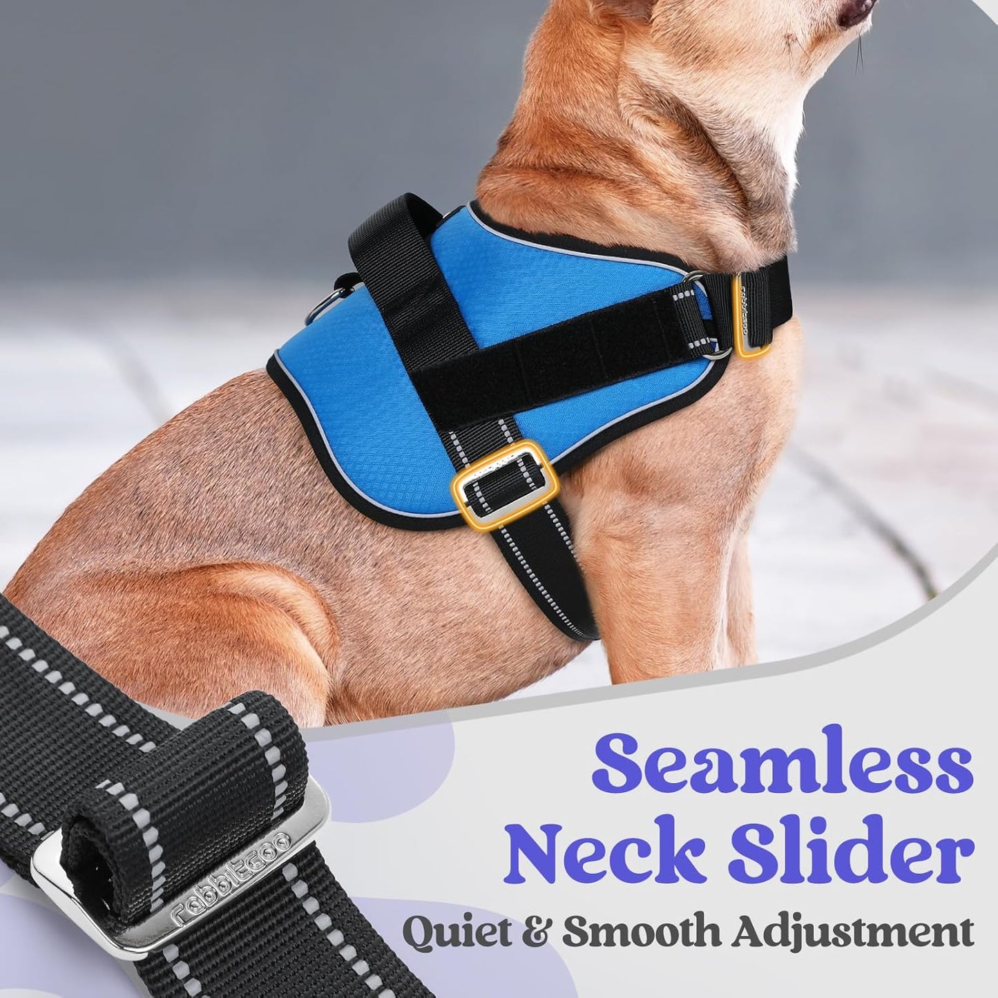rabbitgoo Dog Harness Medium Sized, Easy On Pet Vest with One Buckle, No Pull Adjustable Service Harness with D-Ring & Handle, Reflective for Safety Walking, Training, Blue, M