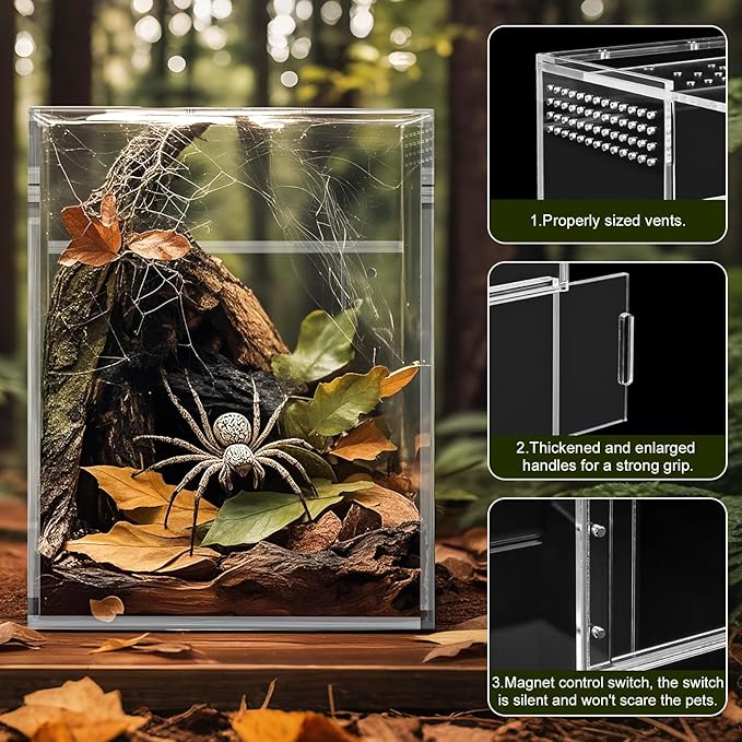 Jumping Spider Enclosure, One-Piece Fully Transparent Acrylic Small Reptile Enclosure, 5.9x5.9x9 inch Small Terrarium for Tree Frogs, Tarantulas, Mantises, Jumping Spiders