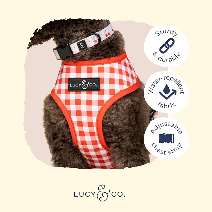 Lucy & Co. Cheery Cherries, Cute Reversible Dog Harness Walking Halter - Best Designer Pet Harnesses for XS - XL Dogs - Padded Adjustable Vest for Easy Walking (Large)