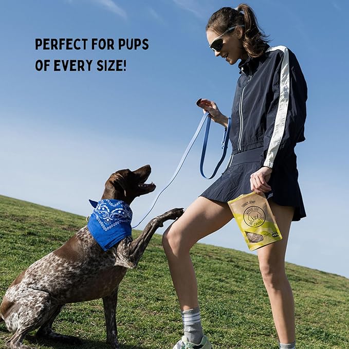 Winnie Lou Turkey Jerky Dog Treats - Limited Ingredient, Human Grade, Training Treats for Small, Medium & Large Dogs, USA Made, High Protein, Chews, Hypoallergenic, Sensative Stomach (1 Pack)