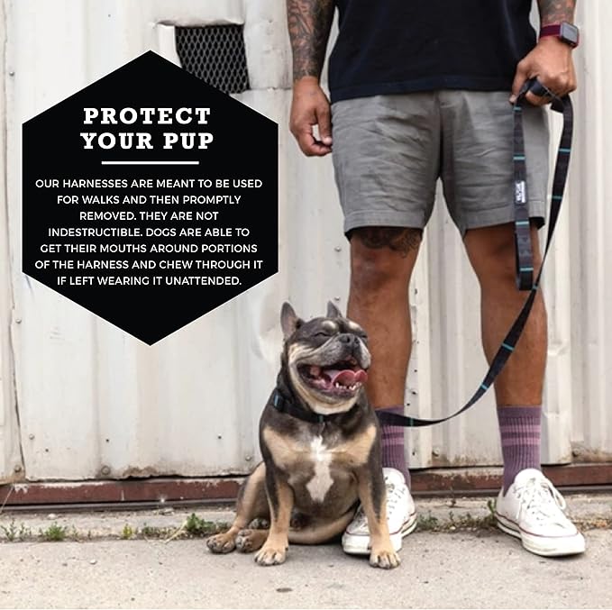 Wolfgang Heavy Duty Adjustable Dog Harness, Pull-Tested to Over 800 lbs for Walking & Training, NightOwl Print, Medium
