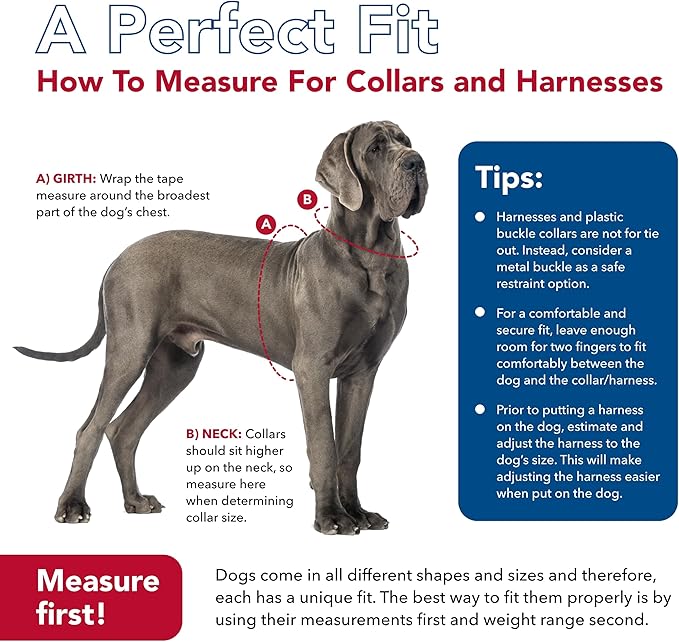 Coastal Pet K9 Explorer Reflective Adjustable Dog Collar - Comfortable Collar for The Outdoors - Durable, Lightweight Accessory with Side-Release Buckle - Berry, 5/8" x 10-14"