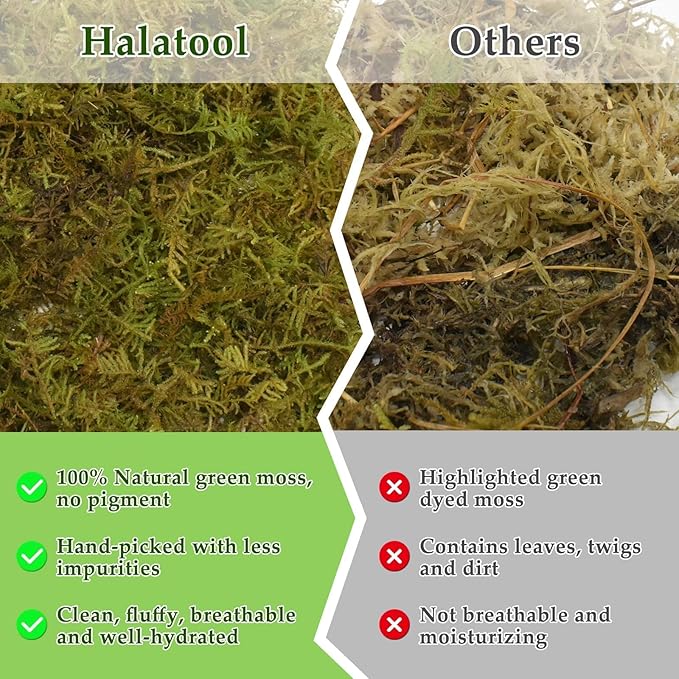 Halatool 1.1LB Natural Sphagnum Moss for Reptiles- 25QT Green Moss for Terrarium Plants Long Fiber Reptile Moss for Leopard Gecko Snake Hamsters Tortoises Frogs Lizards Salamanders