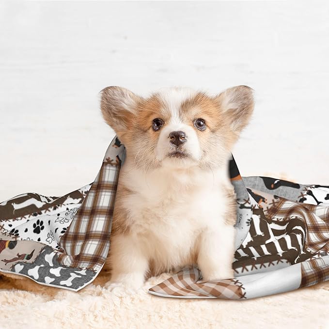Dachshund Dog Throw Blanket - Buffalo Plaid Blanket for Dog Cat Paw Print Pet Blankets 40x30 for Couch Sofa Bed