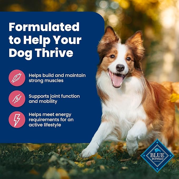 Blue Buffalo Life Protection Formula Adult Dry Dog Food, Helps Build and Maintain Strong Muscles, Made with Natural Ingredients, Salmon & Brown Rice Recipe, 40-lb. Bag