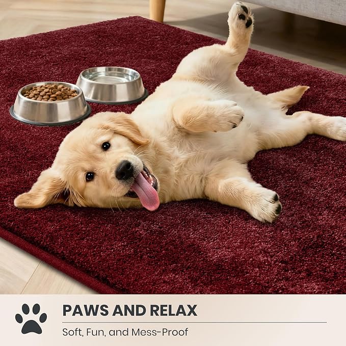 PURRUGS Easy Care Area Rug 6ft x 9ft, Non-Slip Washable Entryway Rug, Stain