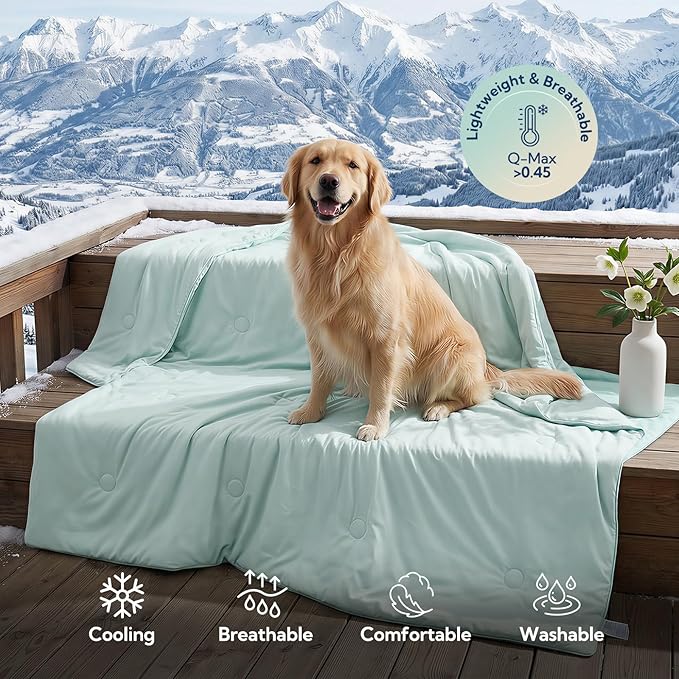 Soulbond Cooling Blanket for Large Dogs - Q-MAX>0.45, Washable Cool Pet Cats Throw Blanket for Hot Weather, Self-Cooling Soft Dog Mat for Bed Crates Couch Sofa Cars(40"x50", Aqua Green)