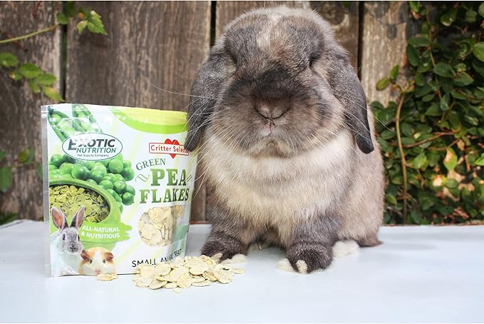Exotic Nutrition Green Pea Flakes (1 lb.) - Healthy Natural Dried Vegetable Treat - for Rabbits, Guinea Pigs, Hamsters, Chinchillas & Other Small Pets (Pack of 2)