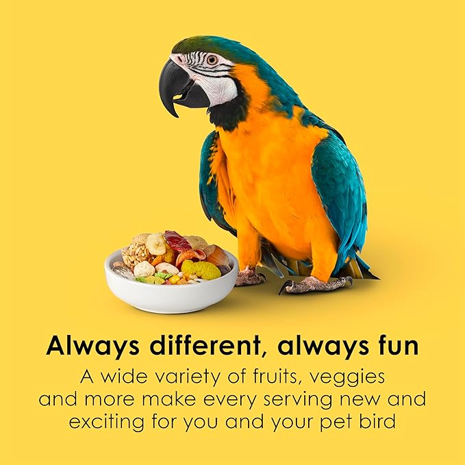 Kaytee Fiesta Macaw Food, Nutritious and Fun Blend, Supports Skin, Feather, Digestion, Brain and Heart Health, 4.5 pounds