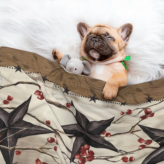 Southwest Blanket for Pet - Vintage Western Throw Blanket 40x30 Star Couch Blankets for Puppy Dogs Cats