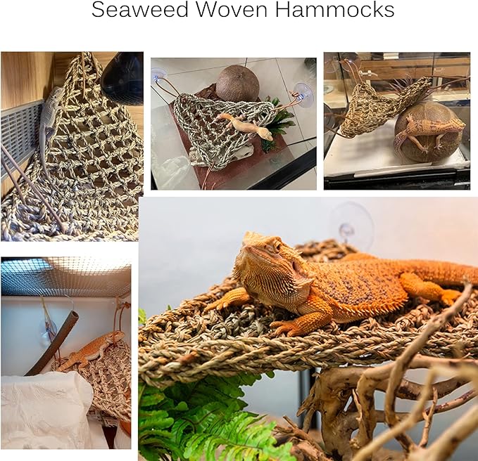 Hamiledyi Reptile Moss Cave Hide,Crested Gecko Habitat Hammock Green Moss Accessories Plastic Terrarium Plant Vines for Small Bearded-Dragon,Snakes,Chameleon Climbing Hibernation Sleeping