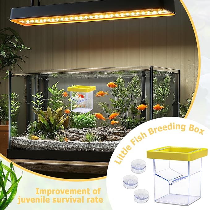 Floating Fish Breeding Isolation Box for Aquarium Tank, Acrylic Isolation Box for Baby Fish, Clownfish, Betta Eggs