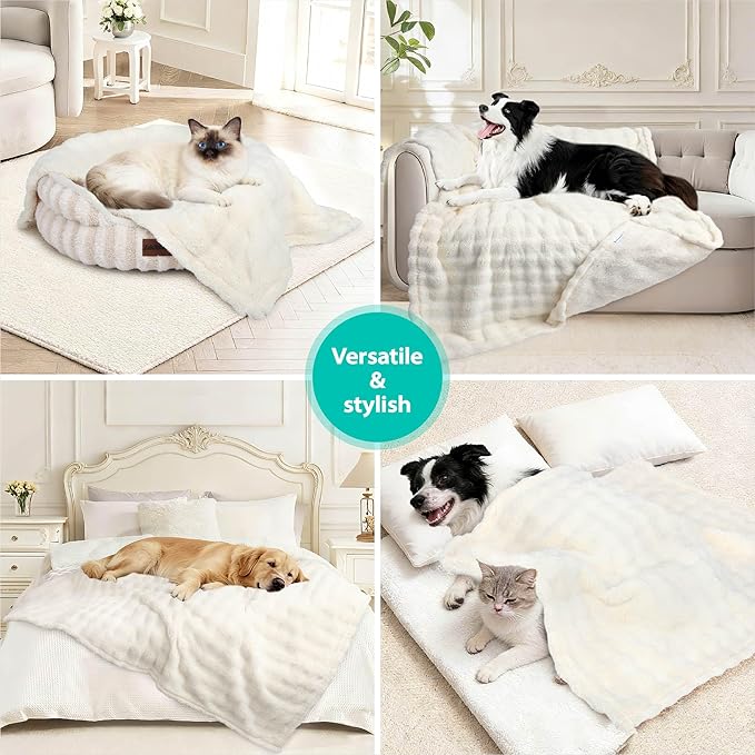 Dog Blankets Washable Pet Blanket - Fluffy Fuzzy Cat Puppy Blanket with Premium 300GSM 3D Fleece Bubble for Pet Kitten Doggy, Cream, 60x80IN