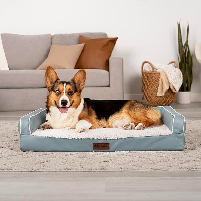 Furhaven Orthopedic Dog Sofa Bed – Memory Foam Couch with Bolsters, Textured Plush & Water-Resistant Cover, Washable Cover, Joint Support - Riverway, Medium